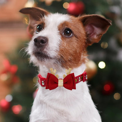 Jolly Paws Christmas Collar